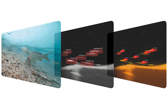 Закидний ехолот Deeper CHIRP+ 4 - Виявлення риби на базі ШІ