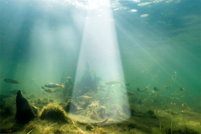 Закидний ехолот Deeper CHIRP+ 4 - Середній промінь