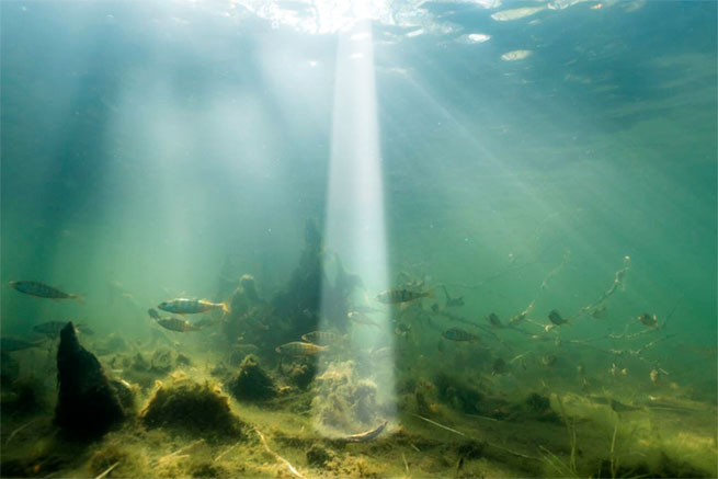 Закидний ехолот Deeper CHIRP+ 4 - Вузький промінь 7°