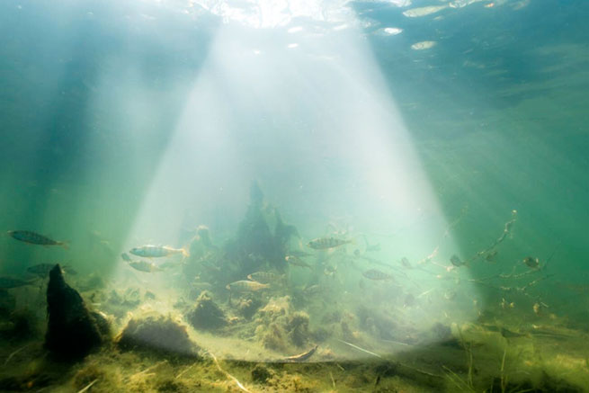 Deeper CHIRP+ 4 - Широкий промінь